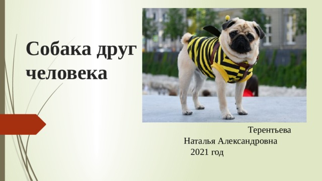 Собака друг  человека  Терентьева Наталья Александровна 2021 год 