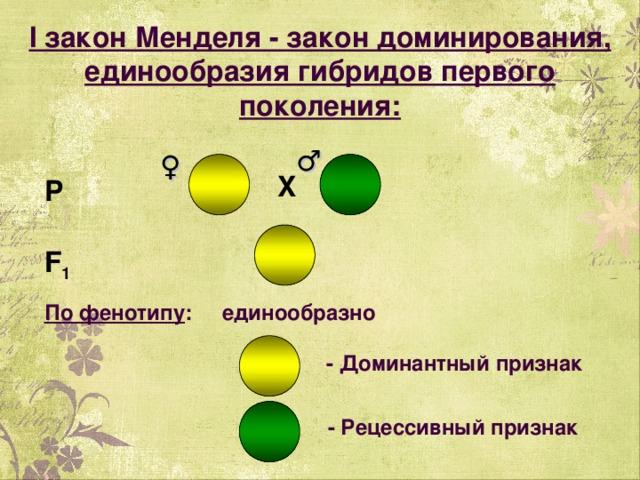 Неполное доминирование 1 1: найдено 90 изображений