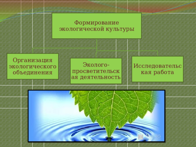 Экологические объединения. Объединения по экологии. Создание экологические объединения. Форма экологического объединения. Организация работы природоохранных объединения.