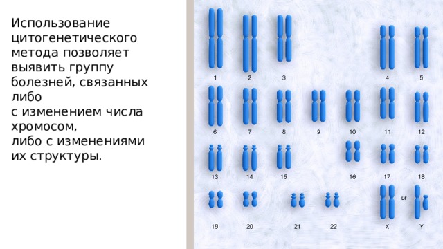 Использование цитогенетического метода позволяет выявить группу болезней, связанных либо с изменением числа хромосом, либо  с изменениями их структуры. 19 
