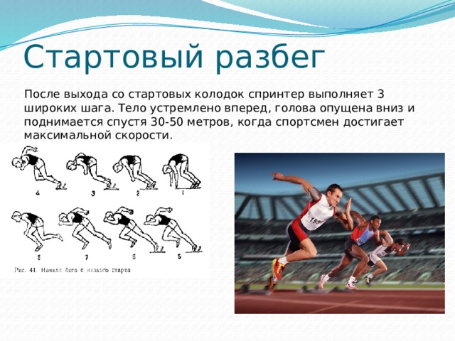 Стартовый разбег После выхода со стартовых колодок спринтер выполняет 3 широких шага. Тело устремлено вперед, голова опущена вниз и поднимается спустя 30-50 метров, когда спортсмен достигает максимальной скорости. 