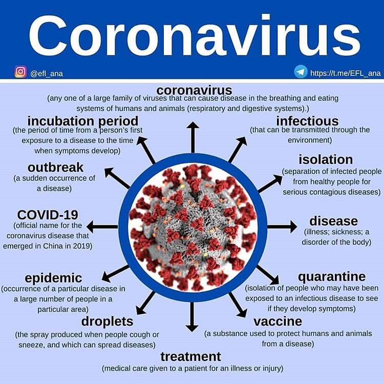 2) How can coronavirus proceed? 