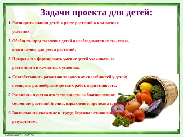 Задачи проекта для детей: Расширить знания детей о росте растений в комнатных условиях. Обобщать представление детей о необходимости света, тепла, влаги почвы для роста растений. Продолжать формировать умение детей ухаживать за растениями в комнатных условиях. Способствовать развитию творческих способностей у детей; поощрять разнообразие детских работ, вариативность. Развивать чувство ответственности за благополучное состояние растений (полив, взрыхление, прополка сорняков). Воспитывать уважение к труду, бережное отношение к его результатам. 