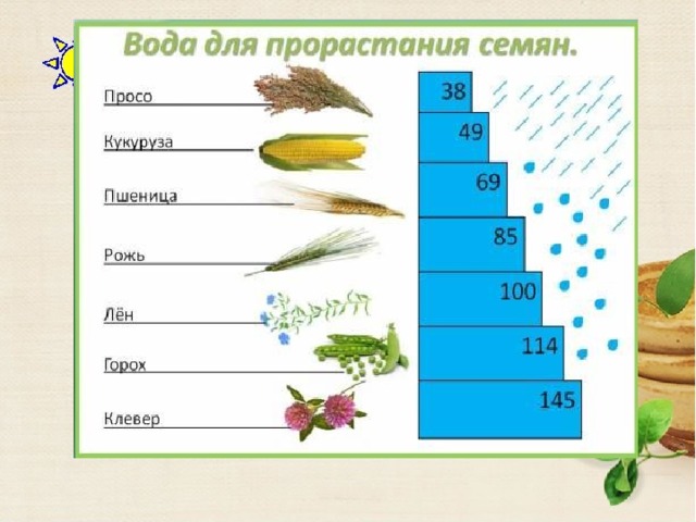 Благоприятные условия для прорастания семян