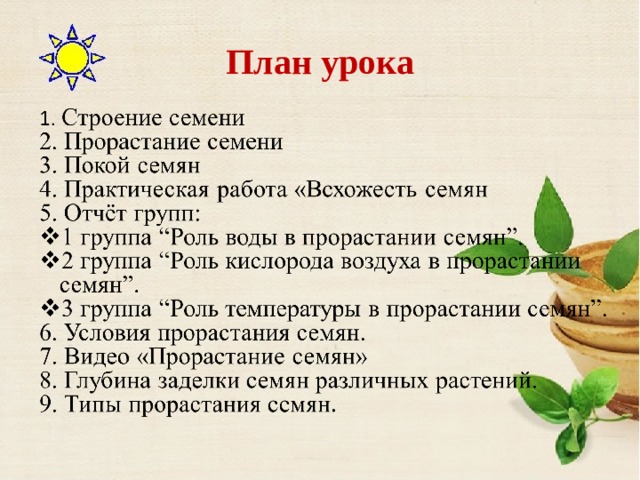 Условия прорастания семян 6 класс биология презентация