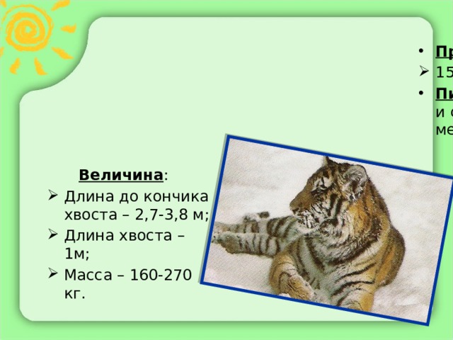 Продолжительность жизни : 15 лет. Пища : олени, косули, дикие козы и свиньи, лоси, рыси, медведи, мелкие звери.  Величина : Длина до кончика хвоста – 2,7-3,8 м; Длина хвоста – 1м; Масса – 160-270 кг. 