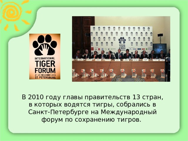 В 2010 году главы правительств 13 стран, в которых водятся тигры, собрались в Санкт-Петербурге на Международный форум по сохранению тигров.   