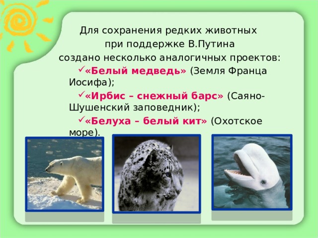 Для сохранения редких животных при поддержке В.Путина создано несколько аналогичных проектов: «Белый медведь» (Земля Франца Иосифа); «Ирбис – снежный барс» (Саяно-Шушенский заповедник); «Белуха – белый кит»  (Охотское море). 