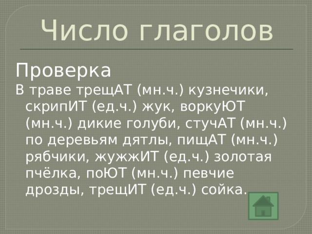 Число глаголов Проверка В траве трещАТ (мн.ч.) кузнечики, скрипИТ (ед.ч.) жук, воркуЮТ (мн.ч.) дикие голуби, стучАТ (мн.ч.) по деревьям дятлы, пищАТ (мн.ч.) рябчики, жужжИТ (ед.ч.) золотая пчёлка, поЮТ (мн.ч.) певчие дрозды, трещИТ (ед.ч.) сойка. 