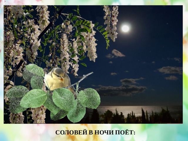 СОЛОВЕЙ В НОЧИ ПОЁТ: 