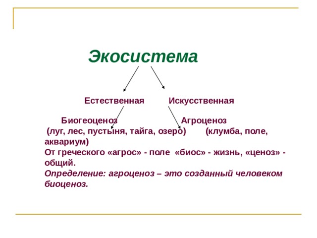 Экосистема   Естественная Искусственная         Биогеоценоз Агроценоз (луг, лес, пустыня, тайга, озеро) (клумба, поле, аквариум) От греческого «агрос» - поле «биос» - жизнь, «ценоз» - общий. Определение: агроценоз – это созданный человеком биоценоз. 