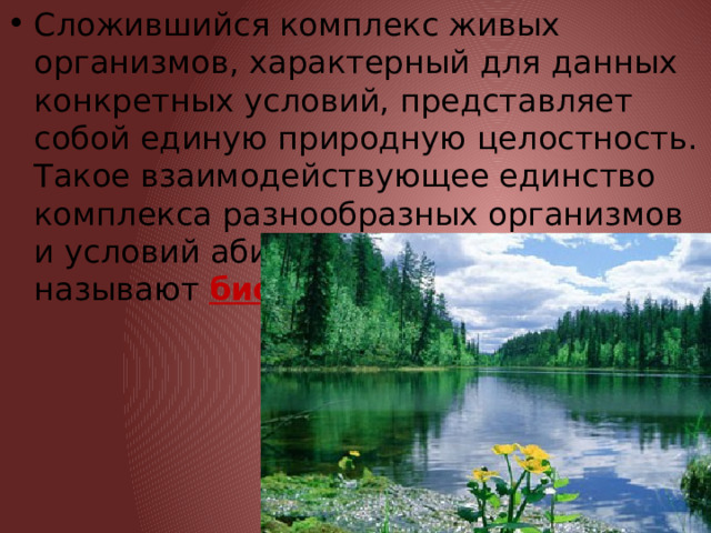 Природное сообщество река кроссворд