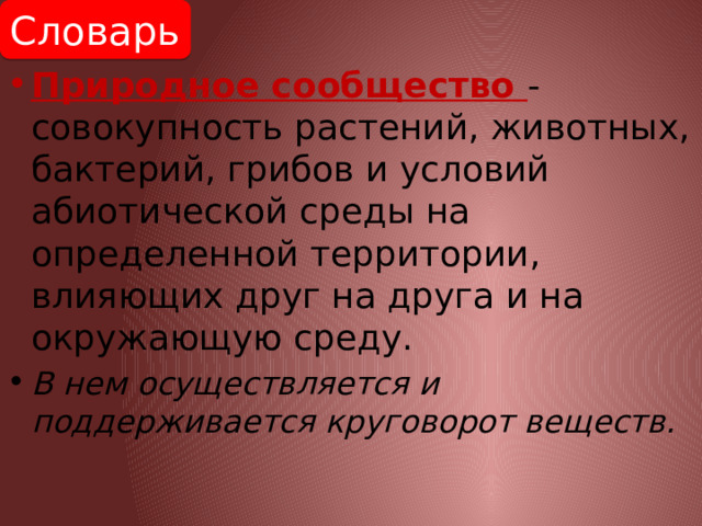 Совокупность растений на одной территории