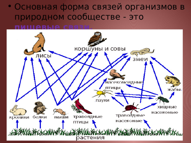 Основная форма связей организмов в природном сообществе - это пищевые связи. 