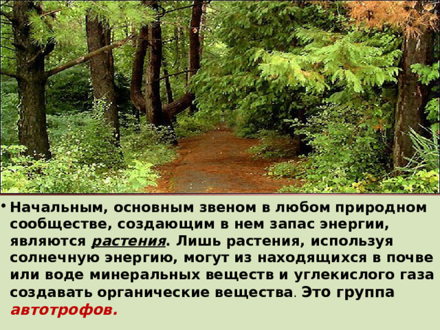 Начальным, основным звеном в любом природном сообществе, создающим в нем запас энергии, являются растения . Лишь растения, используя солнечную энергию, могут из находящихся в почве или воде минеральных веществ и углекислого газа создавать органические вещества . Это группа автотрофов. 