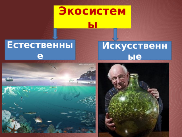 Экосистемы Естественные Искусственные 