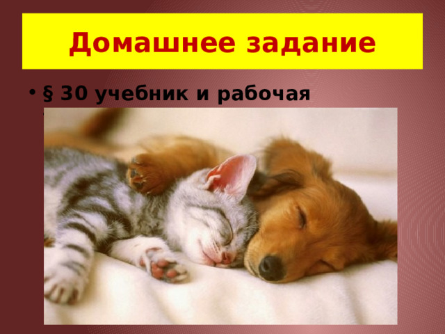 Домашнее задание § 30 учебник и рабочая тетрадь. 