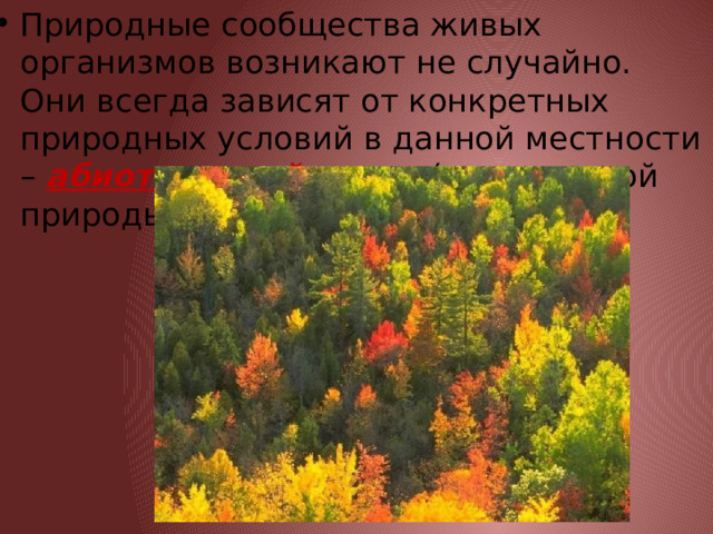Природные сообщества живых организмов возникают не случайно. Они всегда зависят от конкретных природных условий в данной местности – абиотической среды (т.е. неживой природы) 