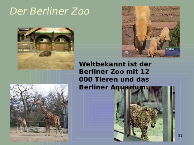 Der Berliner Zoo Weltbekannt ist der Berliner Zoo mit 12 000 Tieren und das Berliner Aquarium.  