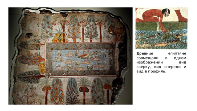 Древние египтяне совмещали в одном изображении вид сверку, вид спереди и вид в профиль. 