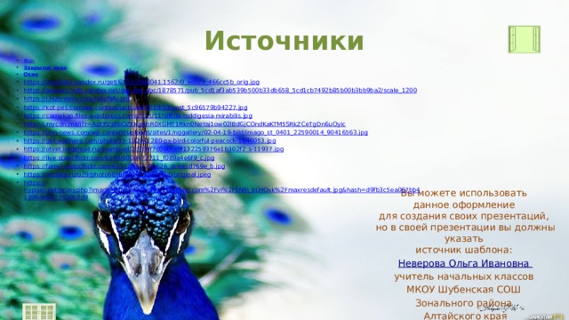 Источники Фон Закрытое окно Окно https:// img-fotki.yandex.ru/get/6733/3588041.1562/0_eebc7_466cc5b_orig.jpg https:// avatars.mds.yandex.net/get-zen_doc/1878571/pub_5cd1af3ab539b500b33db658_5cd1cb7492b85b00b3bb9ba2/scale_1200 https:// i.hizliresim.com/m6pNAy.jpg https:// kot-pes.com/wp-content/uploads/2019/03/post_5c96579b94227.jpg https:// carriekap.files.wordpress.com/2015/11/silfide-loddigesia-mirabilis.jpg http:// i.mycdn.me/i?r=AzEPZsRbOZEKgBhR0XGMT1Rkn0NeYaj1ow02lBdGjCOndKaKTM5SRkZCeTgDn6uOyic https:// bnn-news.com/wp-content/uploads/sites/1/nggallery/02-04-19-bild/imago_st_0401_22590014_90416563.jpg https:// get.wallhere.com/photo/15-1920x1280-px-bird-colorful-peacock-1646053.jpg https:// otvet.imgsmail.ru/download/2d769f7c0abce9f132259376e1b302f2_s-11937.jpg https:// live.staticflickr.com/6149/6008473711_f089a4e6f9_c.jpg https:// farm7.staticflickr.com/6131/5962740626_dc6a5d769e_b.jpg https:// mtdata.ru/u29/photo68FE/20161356973-0/original.jpeg https:// hypixel.net/proxy.php?image=https%3A%2F%2Fi.ytimg.com%2Fvi%2FSN9i_bLHOxk%2Fmaxresdefault.jpg&hash=d9fb3c5ea067bb41896de0877409b2d9 Вы можете использовать данное оформление для создания своих презентаций, но в своей презентации вы должны указать источник шаблона: Неверова Ольга Ивановна учитель начальных классов МКОУ Шубенская СОШ Зонального района  Алтайского края 