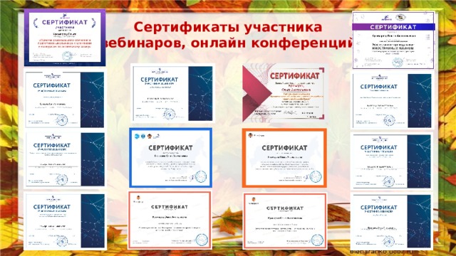 Сертификаты участника  вебинаров, онлайн конференций 