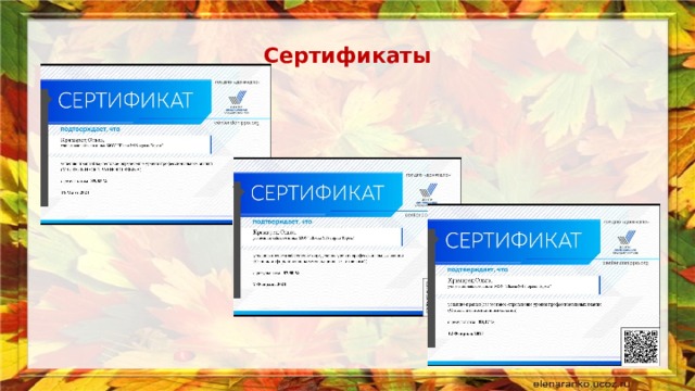 Сертификаты 