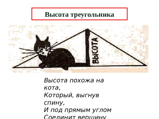 Высота треугольника Высота похожа на кота,  Который, выгнув спину,  И под прямым углом  Соединит вершину  И сторону хвостом. 6 