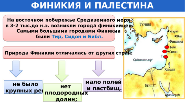 ФИНИКИЯ И ПАЛЕСТИНА На восточном побережье Средиземного моря в 3-2 тыс.до н.э. возникли города финикийцев. Самыми большими городами Финикии были Тир, Сидон и Библ. Природа Финикии отличалась от других стран: мало полей  и пастбищ. не было крупных рек; нет плодородных долин; 13 