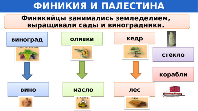 ФИНИКИЯ И ПАЛЕСТИНА Финикийцы занимались земледелием, выращивали сады и виноградники. виноград оливки кедр стекло корабли масло лес вино 