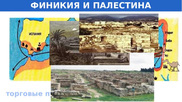 ФИНИКИЯ И ПАЛЕСТИНА Название «Финикия» происходит, вероятно, от греч. φοινως — «пурпурный», возможно связано с производством пурпурной краски из особого вида моллюсков, обитавших у побережья Финикии, которое было одним из основных промыслов местных жителей [1] . торговые пути 13 