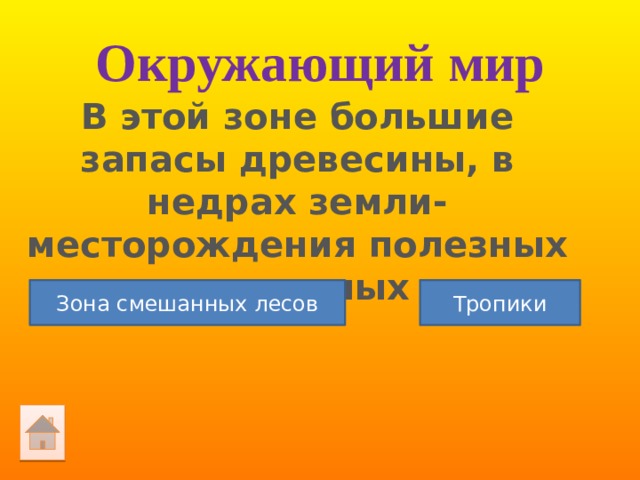 Окружающий мир В этой зоне большие запасы древесины, в недрах земли- месторождения полезных ископаемых . Зона смешанных лесов Тропики 