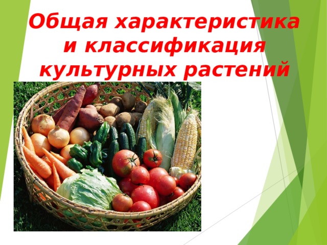 Общая характеристика и классификация культурных растений 