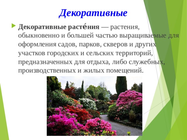 Декоративные Декоративные расте́ния  — растения, обыкновенно и большей частью выращиваемые для оформления садов, парков, скверов и других участков городских и сельских территорий, предназначенных для отдыха, либо служебных, производственных и жилых помещений. 