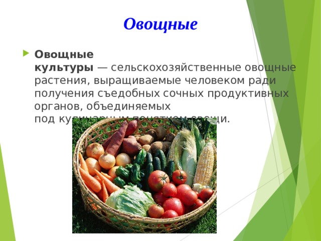 Овощные Овощные культуры  — сельскохозяйственные овощные растения, выращиваемые человеком ради получения съедобных сочных продуктивных органов, объединяемых под кулинарным понятием овощи.  
