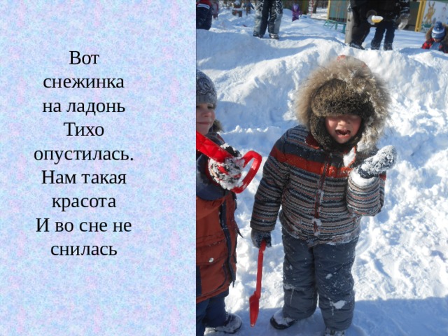 Вот снежинка на ладонь Тихо опустилась. Нам такая красота И во сне не снилась 