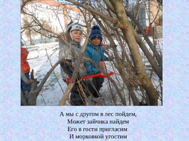 А мы с другом в лес пойдем, Может зайчика найдем Его в гости пригласим И морковкой угостим 