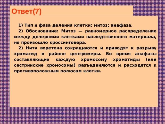 Ответ(7)  1) Тип и фаза деления клетки: митоз; анафаза. 2) Обоснование: Митоз — равномерное распределение между дочерними клетками наследственного материала, не произошло кроссинговера. 2) Нити веретена сокращаются и приводят к разрыву хроматид в районе центромеры. Во время анафазы составляющие каждую хромосому хроматиды (или сестринские хромосомы) разъединяются и расходятся к противоположным полюсам клетки. 