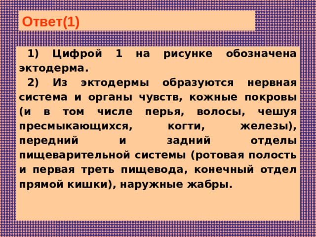 Система трубчатых жабр варфрейм где добыть