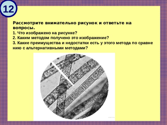 12  Рассмотрите вни­ма­тель­но ри­су­нок и от­веть­те на вопросы. 1. Что изоб­ра­же­но на рисунке? 2. Каким ме­то­дом по­лу­че­но это изображение? 3. Какие пре­иму­ще­ства и не­до­стат­ки есть у этого ме­то­да по срав­не­нию с аль­тер­на­тив­ны­ми методами?  