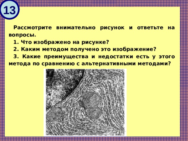 13   Рассмотрите вни­ма­тель­но ри­су­нок и от­веть­те на вопросы. 1. Что изоб­ра­же­но на рисунке? 2. Каким ме­то­дом по­лу­че­но это изображение? 3. Какие пре­иму­ще­ства и не­до­стат­ки есть у этого ме­то­да по срав­не­нию с аль­тер­на­тив­ны­ми методами? 