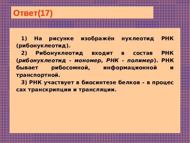 Ответ(17)  1) На ри­сун­ке изображён нук­лео­тид РНК (рибонуклеотид). 2) Рибонуклеотид входит в состав РНК ( рибонуклеотид - мономер, РНК - полимер ). РНК бы­ва­ет рибосомной, ин­фор­ма­ци­он­ной и транспортной. 3) РНК участ­ву­ет в био­син­те­зе бел­ков – в про­цес­сах тран­скрип­ции и трансляции.    