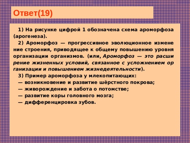 Назовите путь эволюции изображенный на рисунке 1 к чему приводит данный путь