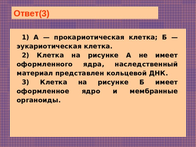 Ответ(3)  1) А — прокариотическая клетка; Б — эукариотическая клетка. 2) Клетка на рисунке А не имеет оформленного ядра, наследственный материал представлен кольцевой ДНК. 3) Клетка на рисунке Б имеет оформленное ядро и мембранные органоиды. 