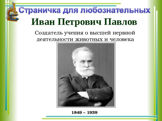 Иван Петрович Павлов  Создатель учения о высшей нервной деятельности животных и человека 1849 – 1939 