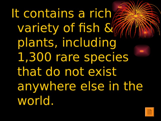 It contains a rich variety of fish & plants, including 1,300 rare species that do not exist anywhere else in the world.