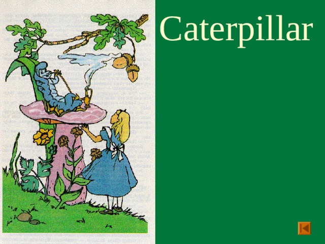 Caterpillar