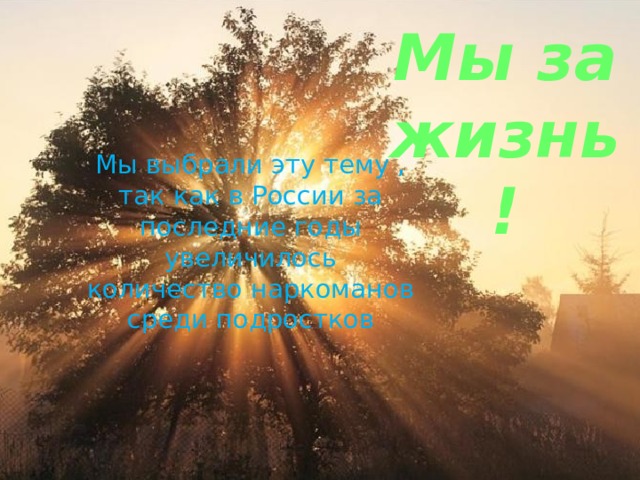 Мы за жизнь! Мы выбрали эту тему , так как в России за последние годы увеличилось количество наркоманов среди подростков 