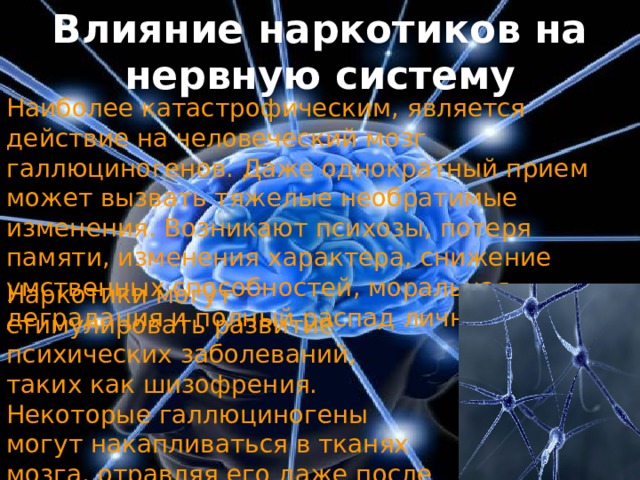 Влияние наркотиков на нервную систему Наиболее катастрофическим, является действие на человеческий мозг галлюциногенов. Даже однократный прием может вызвать тяжелые необратимые изменения. Возникают психозы, потеря памяти, изменения характера, снижение умственных способностей, моральная деградация и полный распад личности. Наркотики могут стимулировать развитие психических заболеваний, таких как шизофрения. Некоторые галлюциногены могут накапливаться в тканях мозга, отравляя его даже после отказа от наркотиков. 