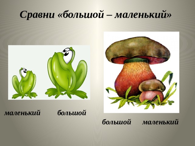 Сравни «большой – маленький» маленький большой  большой маленький 